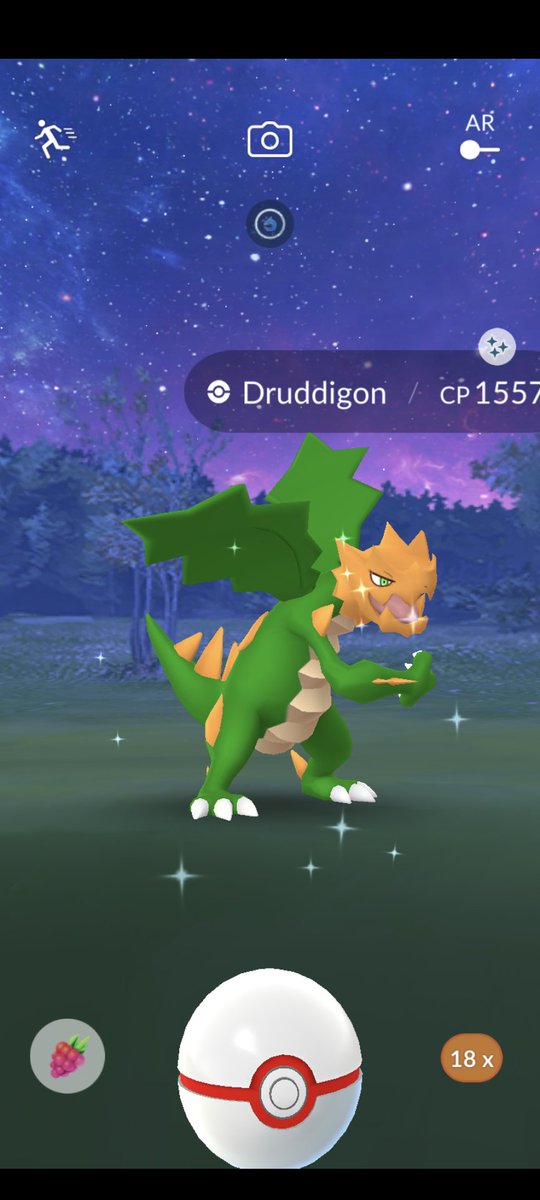 unfoldingartss's tweet photo. My first one! ✨
#ShinyPokemon #raidshiny #PokemonGO https://t.co/MvfLMmOJio