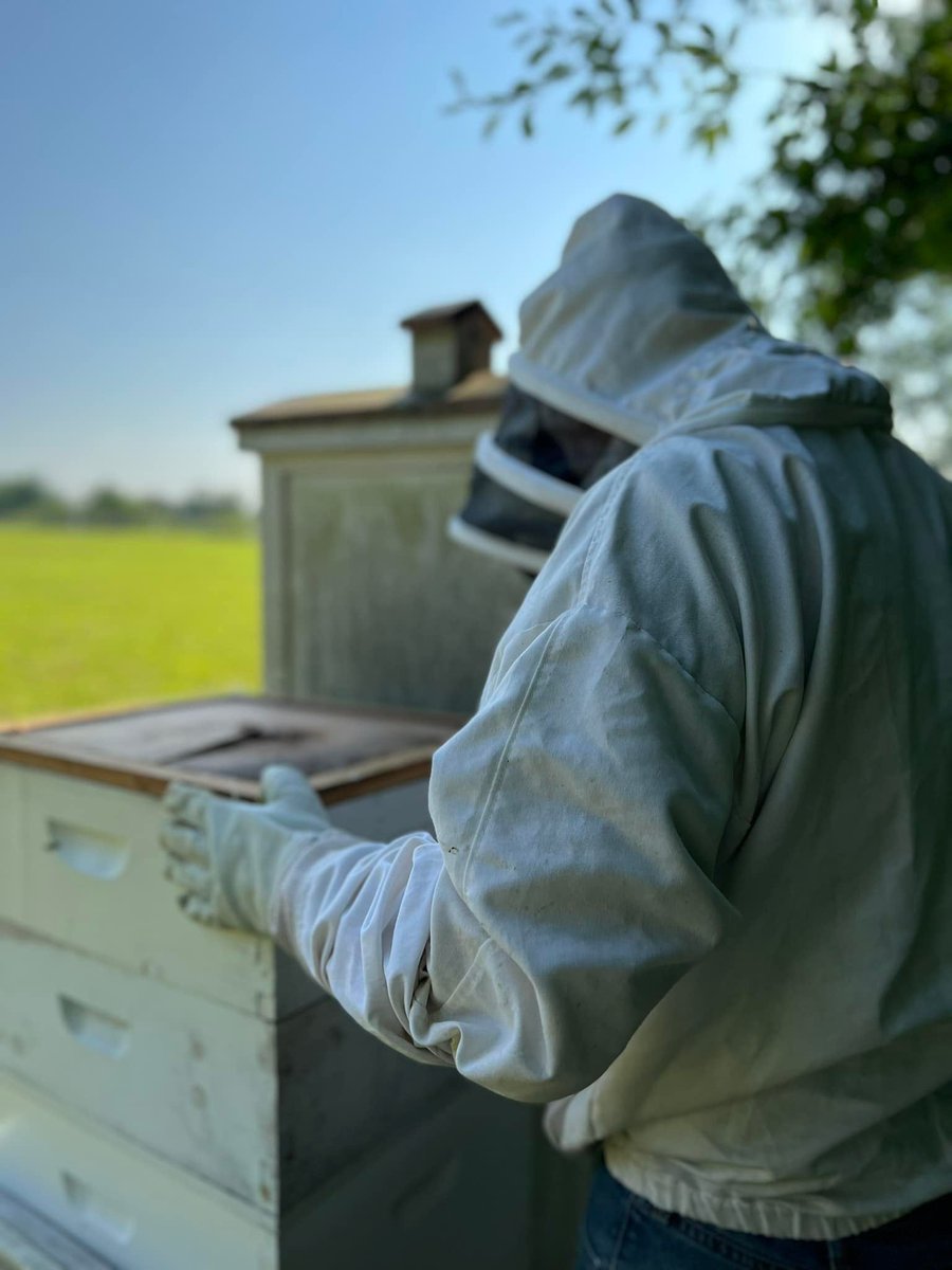 Bowm1Haley's tweet photo. #302f22 I chose these pictures because honey bees are a huge part of agriculture. Our plants grow because of bees pollenating them, and without our plants and trees growing and being pollenated, we wouldn't have as much oxygen or food to live off of. https://t.co/W6a1dCNoVV