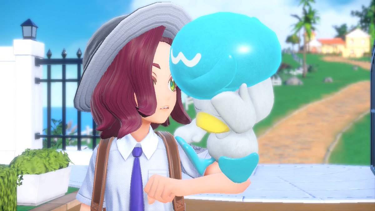 softbue's tweet photo. DUCK DUCK DUCK- https://t.co/MXhLpNRHTA