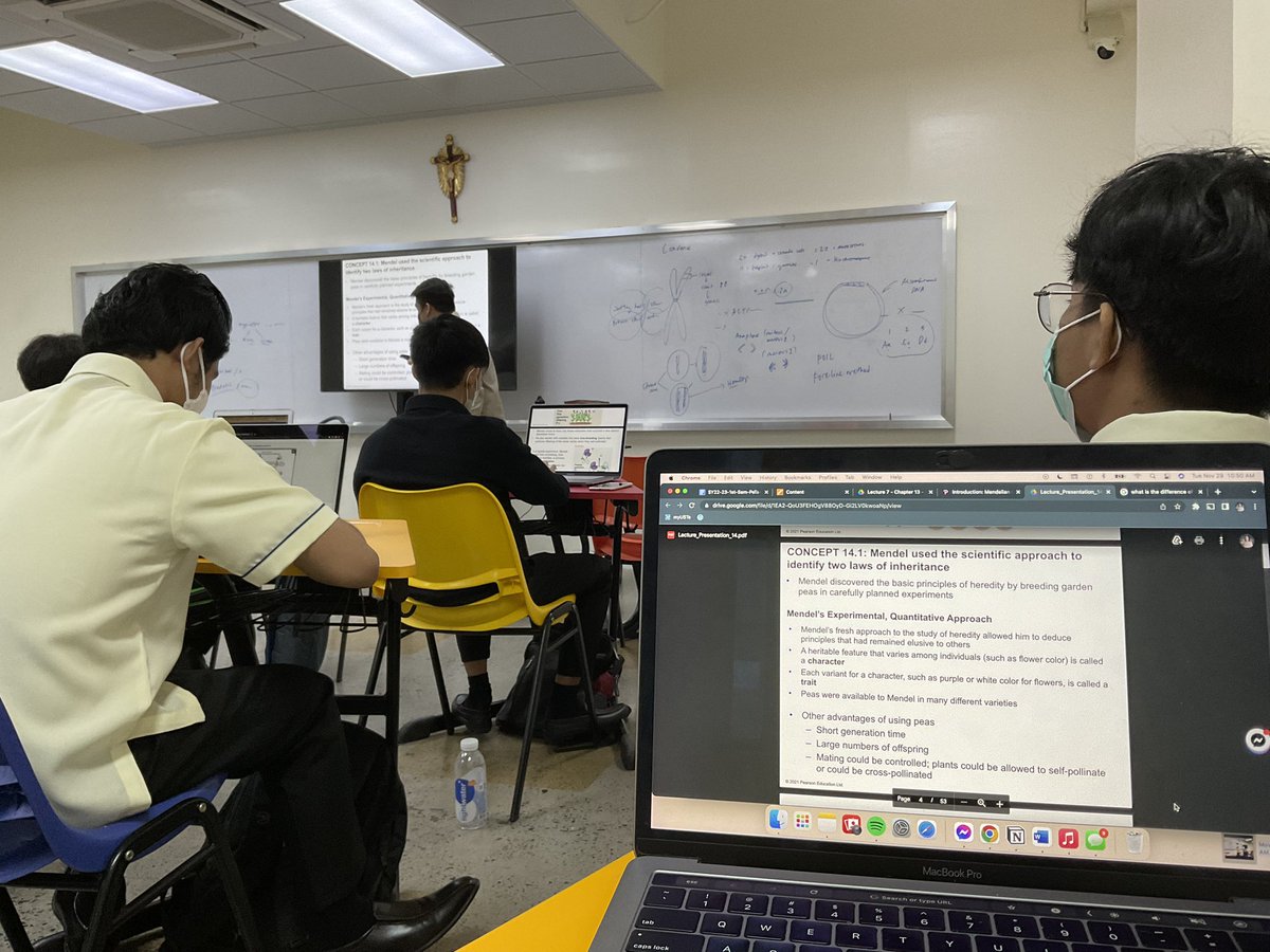 euryeuryie's tweet photo. - 🖇️𖥻 [ acie’s studylog 💻 ]
           ˗ˏˋ11.29.22 ˎˊ˗

ystd was another productive day oml,, we had f2f classes so yea idk anm i m stressedt nd saur tired thats y i j studied on my bed :’))))

#studytwt #studylog #studytwtph https://t.co/aDplQRR6JM