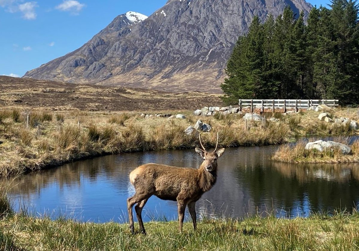 Check out the fantastic tours on offer with <a href="/TallyHoHolidays/">Tally Ho Holidays</a> next year - with #Exeter pick-ups! 👉 bit.ly/3AQRdZB