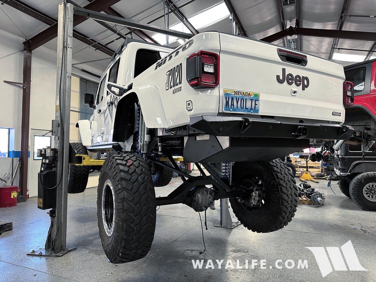 WAYALIFE tweet media