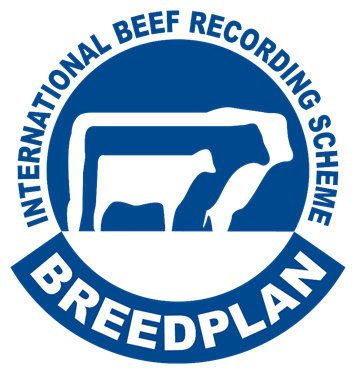 Are you running cattle head-to-head with another herd? Then this #BREEDPLANTopTip on associated herds from the Spring 2022 #SBTSTBTS Update magazine is for you: bit.ly/3EXsN3b