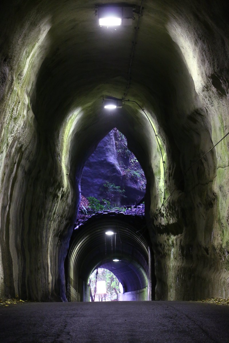 えいだんねこ on Twitter