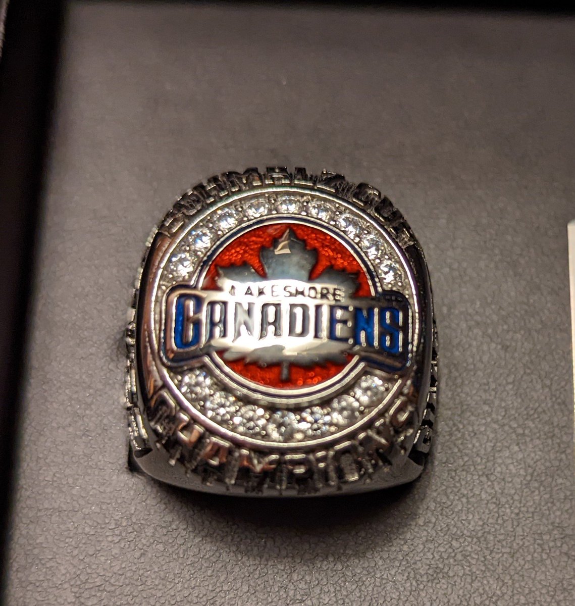LCanadiens's tweet photo. 2022 Schmalz Cup championship Ring ceremony ! Thank you to our great sponsor Twiggs for hosting. https://t.co/lPdsYtAjo9
