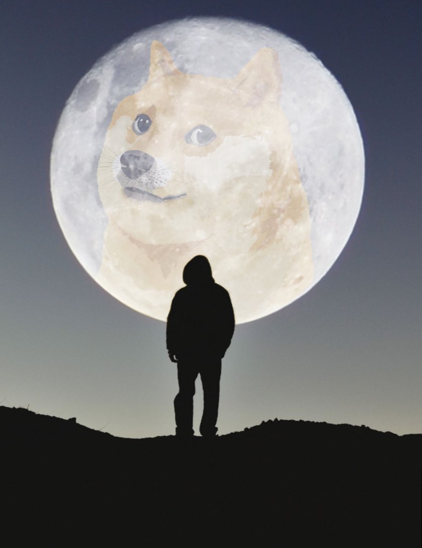 #Dogecoin to the moon 🌕 
#Doge $DOGE
