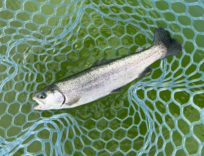 なんとか21,2といったところでしょうか 