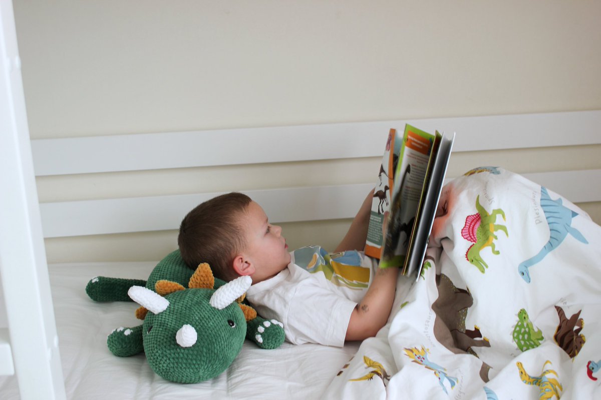 KamburMarina's tweet image. One is good, but two is better🦖🦖
Plush Dinosaurs for my children❤️
Pattern is here ravelry.com/patterns/libra…
Or here etsy.com/shop/Enjoytoys…
#plushpattern
#plushdino
#crochetpattern
#amigurumipattern
#plushtoy
#crochetplush
#plush
#crochetpillow
#crochetdinosaur
#bigplushdinosaur