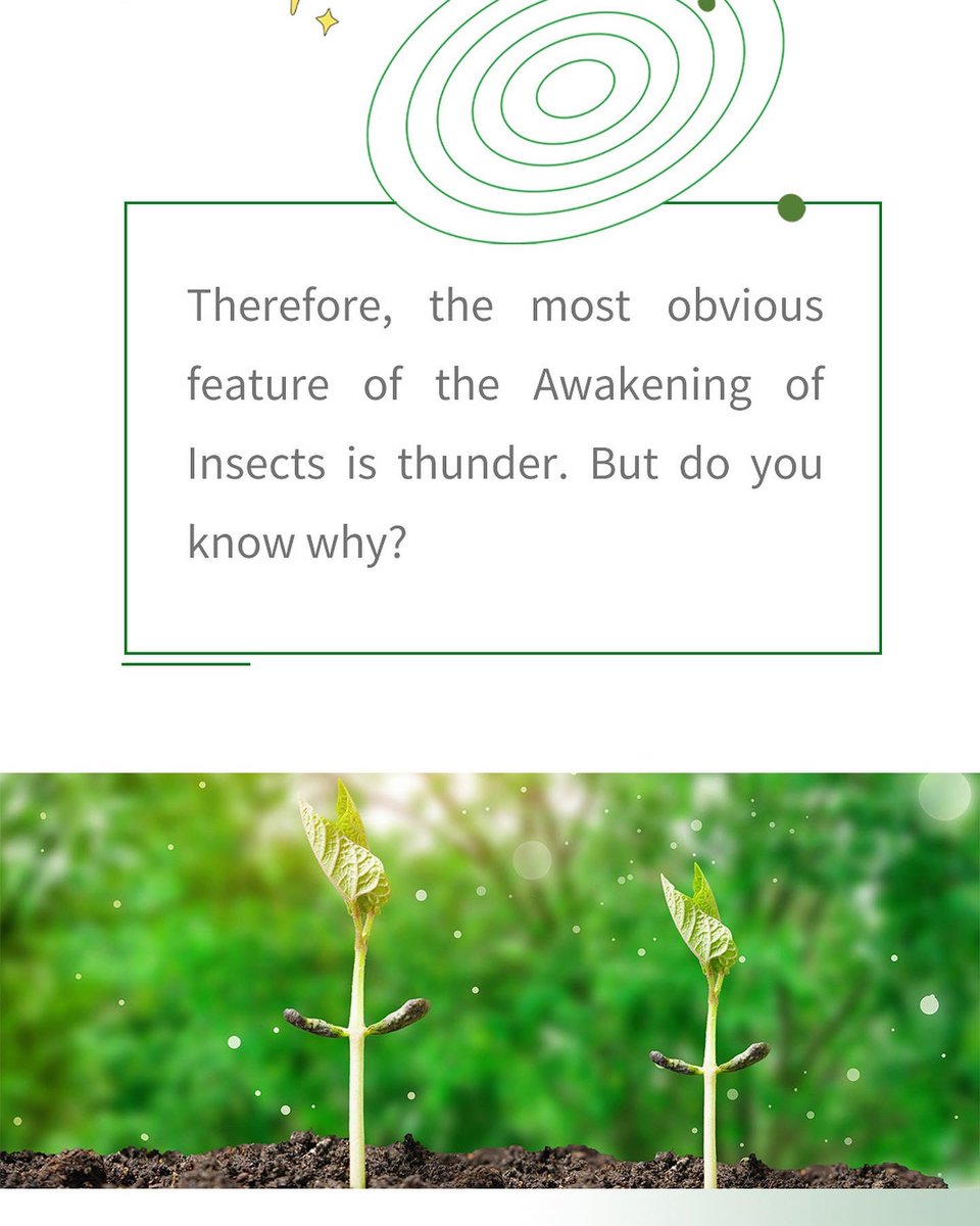 ENingxia's tweet photo. Awakening of Insects, the third of the 24 solar terms, heralds an increase in thunderstorms, with loud thunder waking up sleeping creatures and rain bringing plants to life.
#hiningxia #enjoyningxia #thunderstorm #springthunder #24solarterms https://t.co/exa2nrWgMI