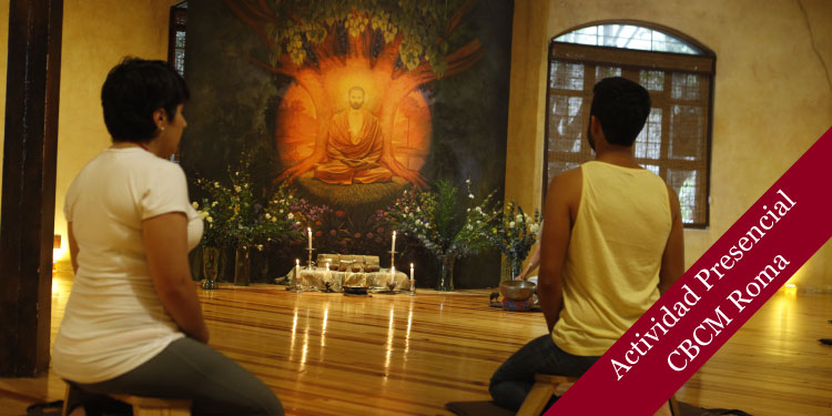 Sesión especial de Meditación: Calmando la mente, cerrando mi año

domingo 4 de diciembre, 2022 de 11:30 a 13:30 hrs.

budismo.org.mx/sesion-especia…