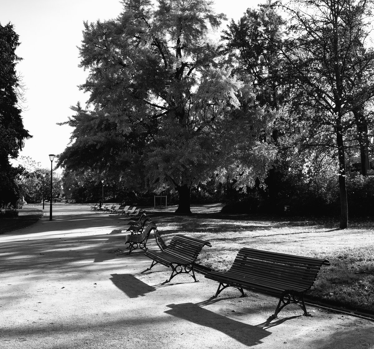 A timeless Parisian walk