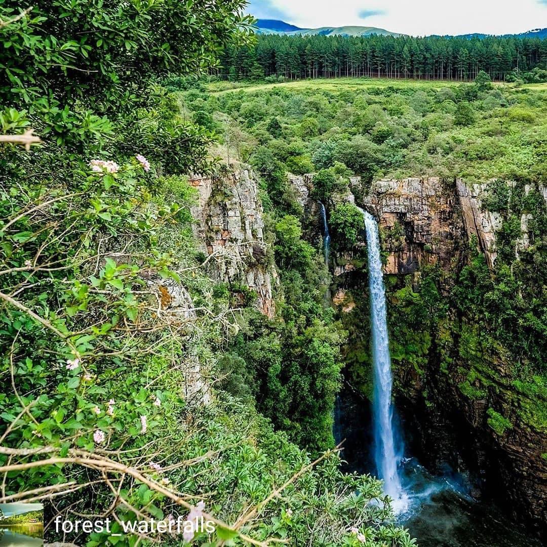 Oupa Pilane tweet media