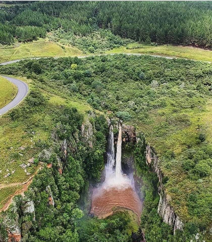 Oupa Pilane tweet media