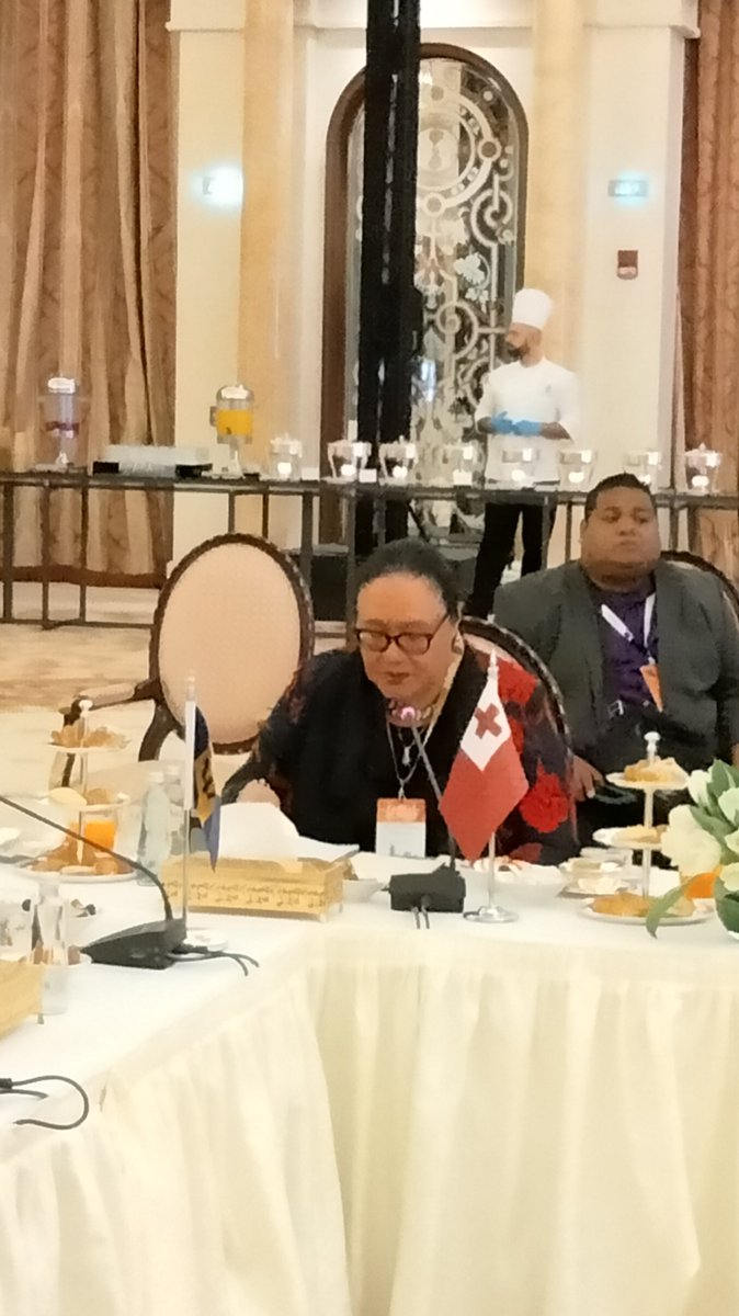 fekita_u's tweet photo. I am in Saudi Arabia, attending the Global Tourism Summit.  Productive session this morning on connectivity, with SIDs Ministers and moderated by Peter Greenberg, Travel Editor CBS. https://t.co/KArv9x4ZEV