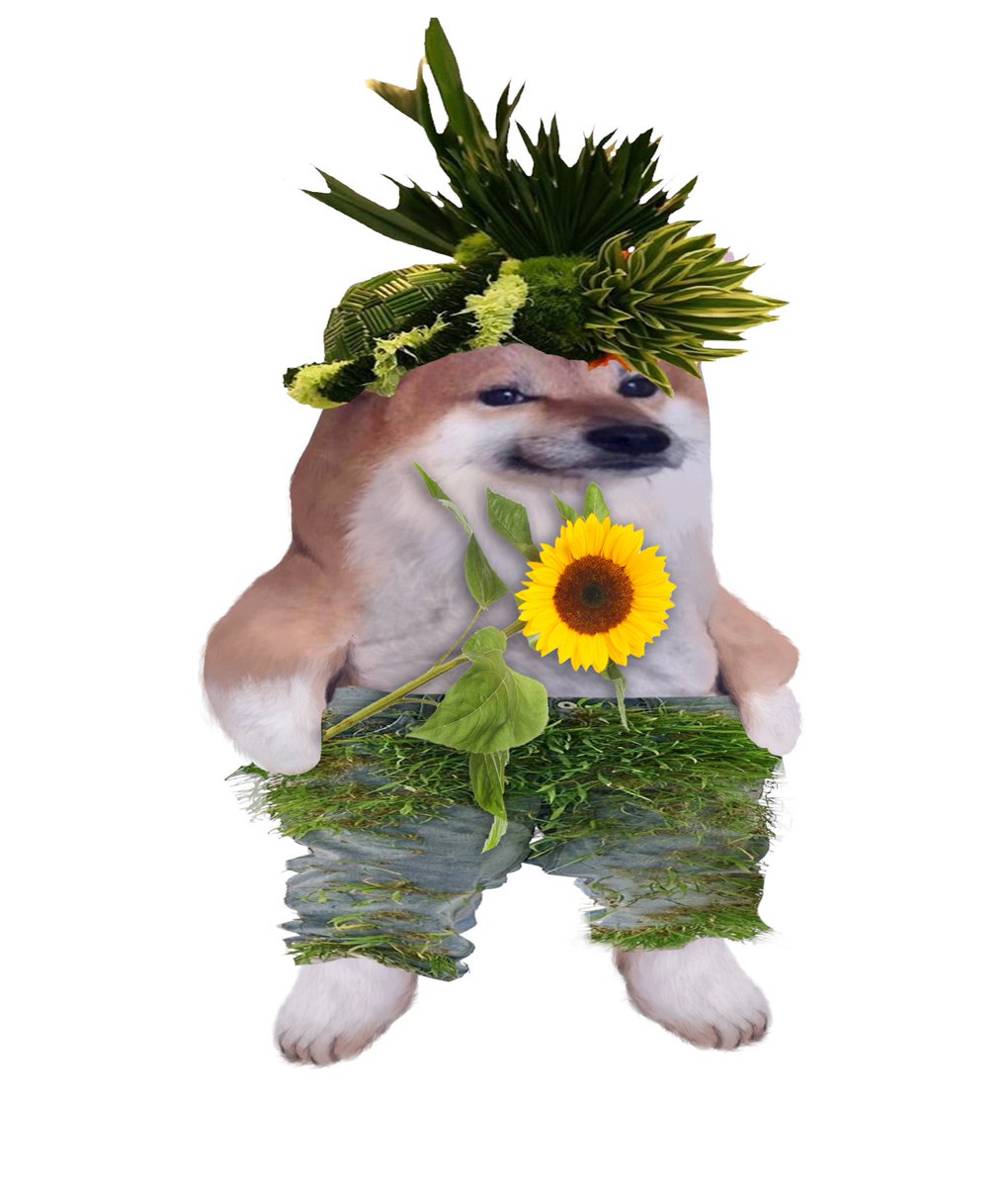 NAFOrigin's tweet photo. @That_Schlemiel @fellarequests There's your fella wearing plants in front of plants.
#NAFOFellas
#NAFOexpansionIsNonNegotiable

@Kama_Kamilia @BravoKilo6464 @Official_NAFO https://t.co/D1bIm9b7LC
