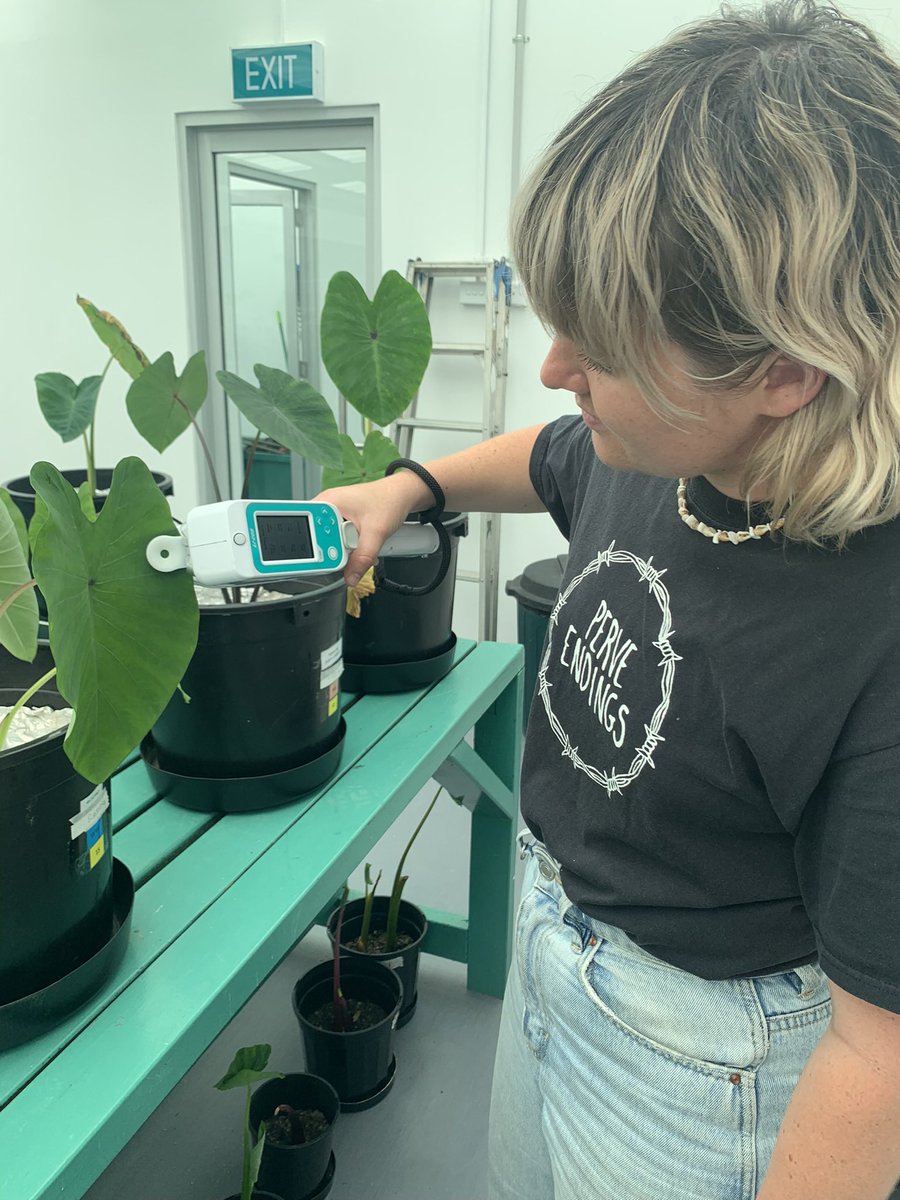JemmaRestall's tweet photo. Guess I’m still running on island time which is why I’m posting this late. Back in August I had an incredible 4 weeks working with researchers at @spc_cps around drought tolerance in taro all thanks to the @CrawfordFund. What an amazing opportunity to learn from the experts! https://t.co/OO8ZrIvf3l