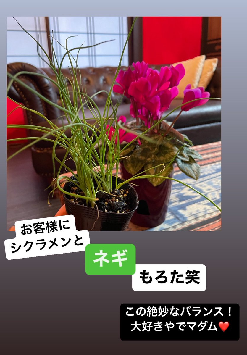 悪玉菌製造工場 ぢゅげむちゃん ソフビ決起集会限定 かっこわらい雑貨