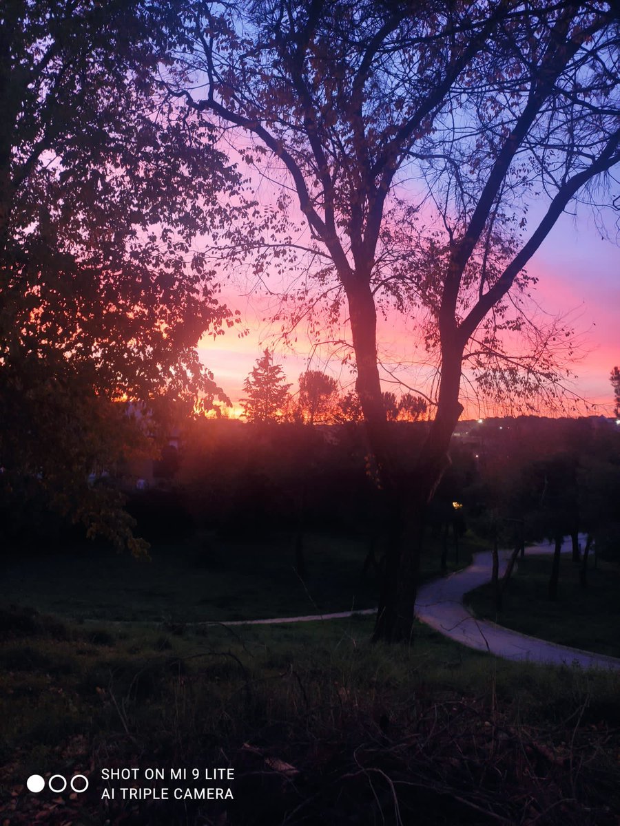 Atardecer ayer en Madrid. Foto de mi madre. #nofilter #Madrid #homesweethome