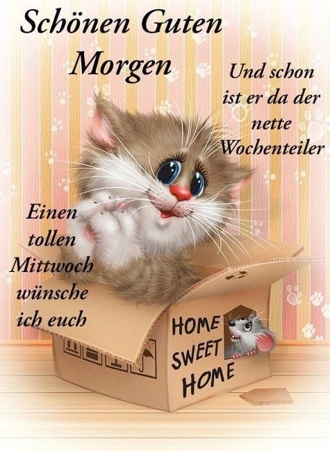 Einen wunderschönen 😊 Mittwoch Morgen wünsche ich Euch allen miteinander ihr Papnasen 😂 😲
Kommt gesund 🍀 in den Neuen Tag hinein und passt gut auf Euch auf 🙏

Grüßla, des Frankenmadla 🙋‍♀️ ☕ 😘