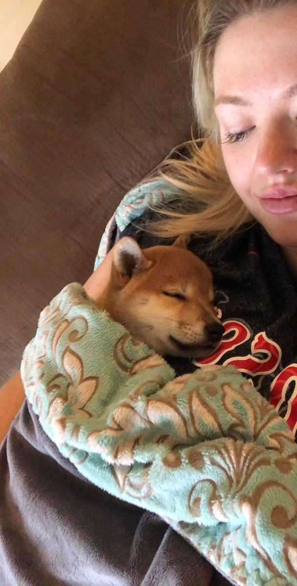 TaylorDockter's tweet photo. Emmy girl is 5 today 😭🤍 https://t.co/ZQRmOy2qnC