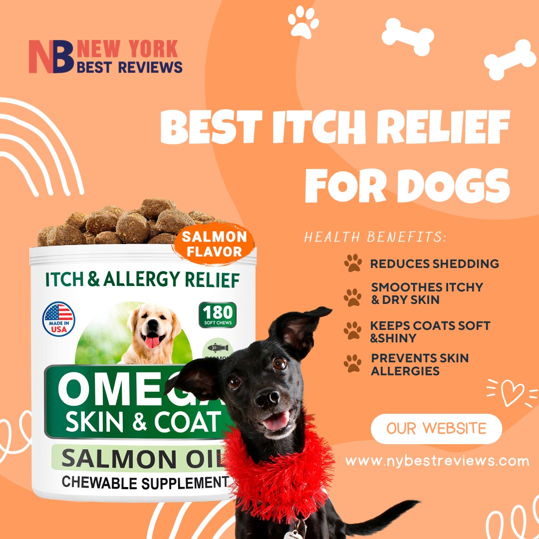 NBestreviews's tweet photo. If you are a dog lover, you will love to know the best itch relief for your dog. This article will tell you all about it.
https://t.co/8tWHD4ewn9
#bestdeals #amazon #nybestreviews #sales #reviews #dogs #itchrelief #relief https://t.co/gMVZRR8wlc