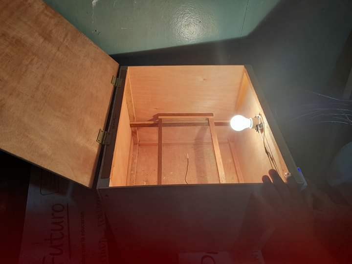 Gracias a Dios ya están las codornices en nuestro centro escolar agradecido con el apoyo de agriadapta seguimos haciendo un centro con aprendizaje integral.