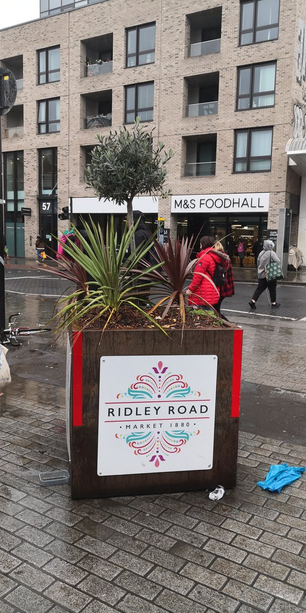 Ridley Road Updates tweet media