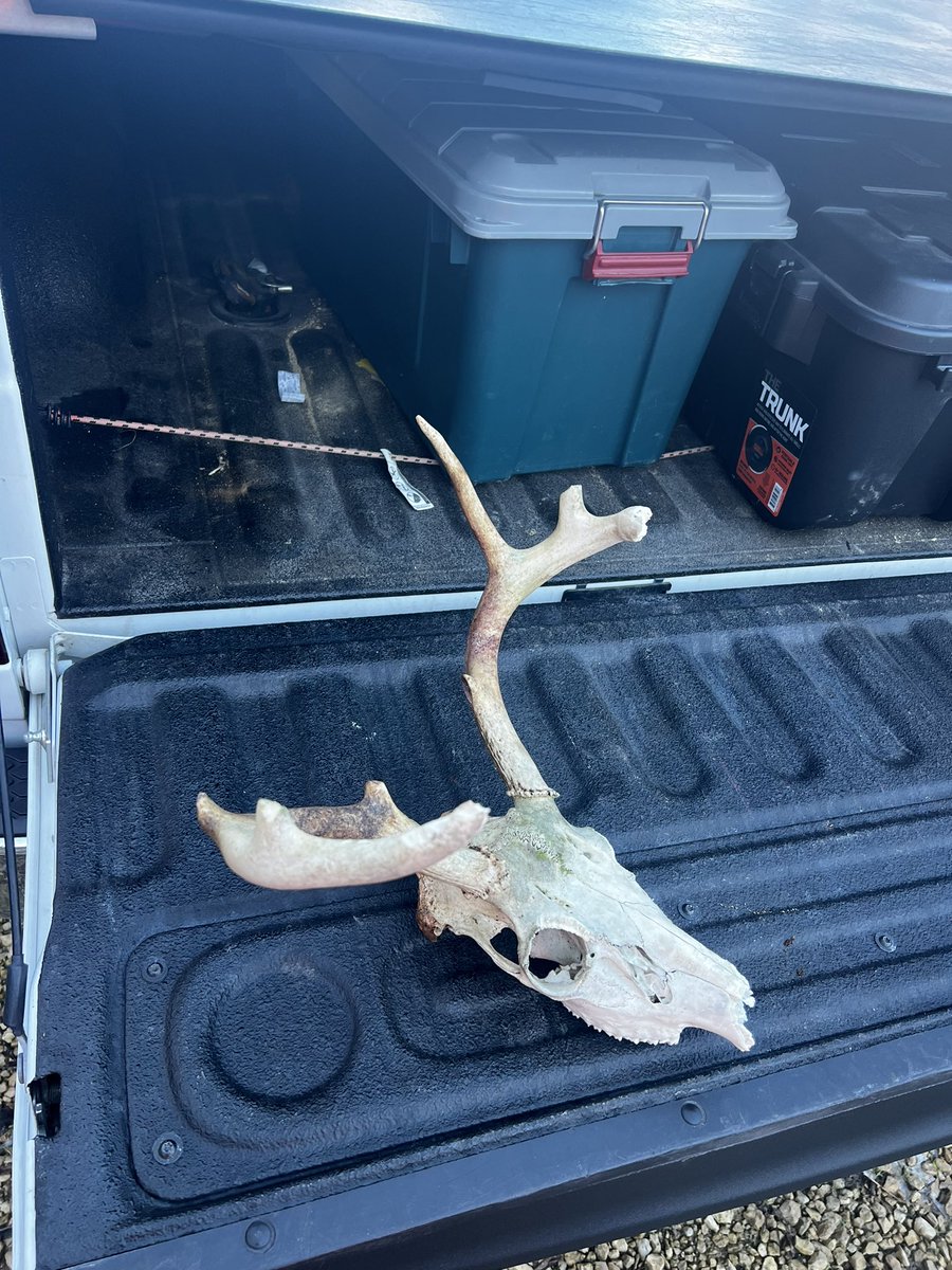 PremiumPlots's tweet photo. Im back 💪🏻🦌 more tweets to follow 😎 https://t.co/OuNVeUY9mY