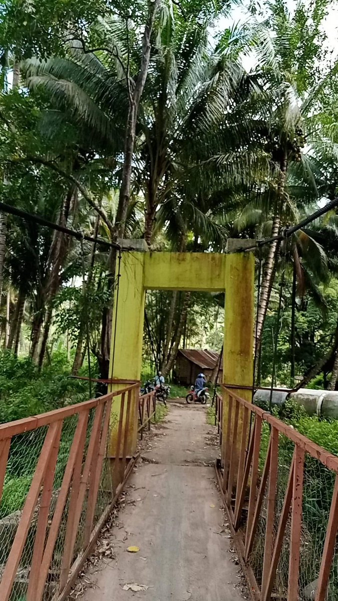 AliensOfMalaya_'s tweet photo. WELCOME TO MALAYALAND! A real land originally owned by @dexterspaceman and his family which will be converted to a community land exclusive for the Kingdom of Malaya. Everyone can use it.

Proposals will soon be open. #AliensOfMalaya #Hobz #Crooks #NFT #NFTs $AOM https://t.co/hl7HsqblIn