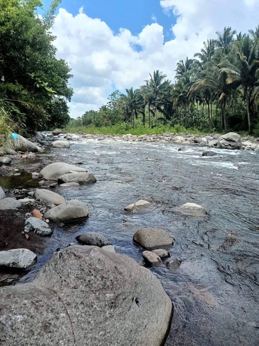 AliensOfMalaya_'s tweet photo. WELCOME TO MALAYALAND! A real land originally owned by @dexterspaceman and his family which will be converted to a community land exclusive for the Kingdom of Malaya. Everyone can use it.

Proposals will soon be open. #AliensOfMalaya #Hobz #Crooks #NFT #NFTs $AOM https://t.co/hl7HsqblIn