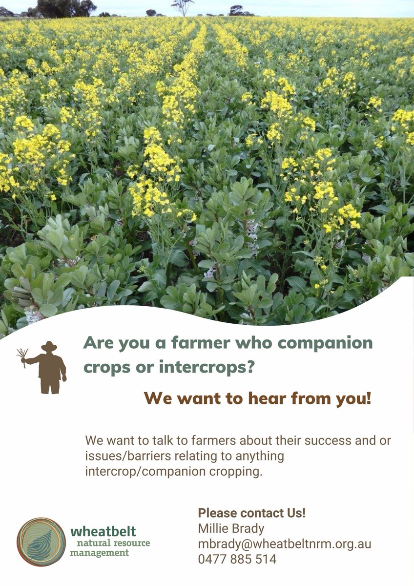 If you're a farmer who companion crops or intercrops, we want to chat with you! Contact Millie Brady at mbrady@wheatbeltnrm.org.au or 0477 885 514.