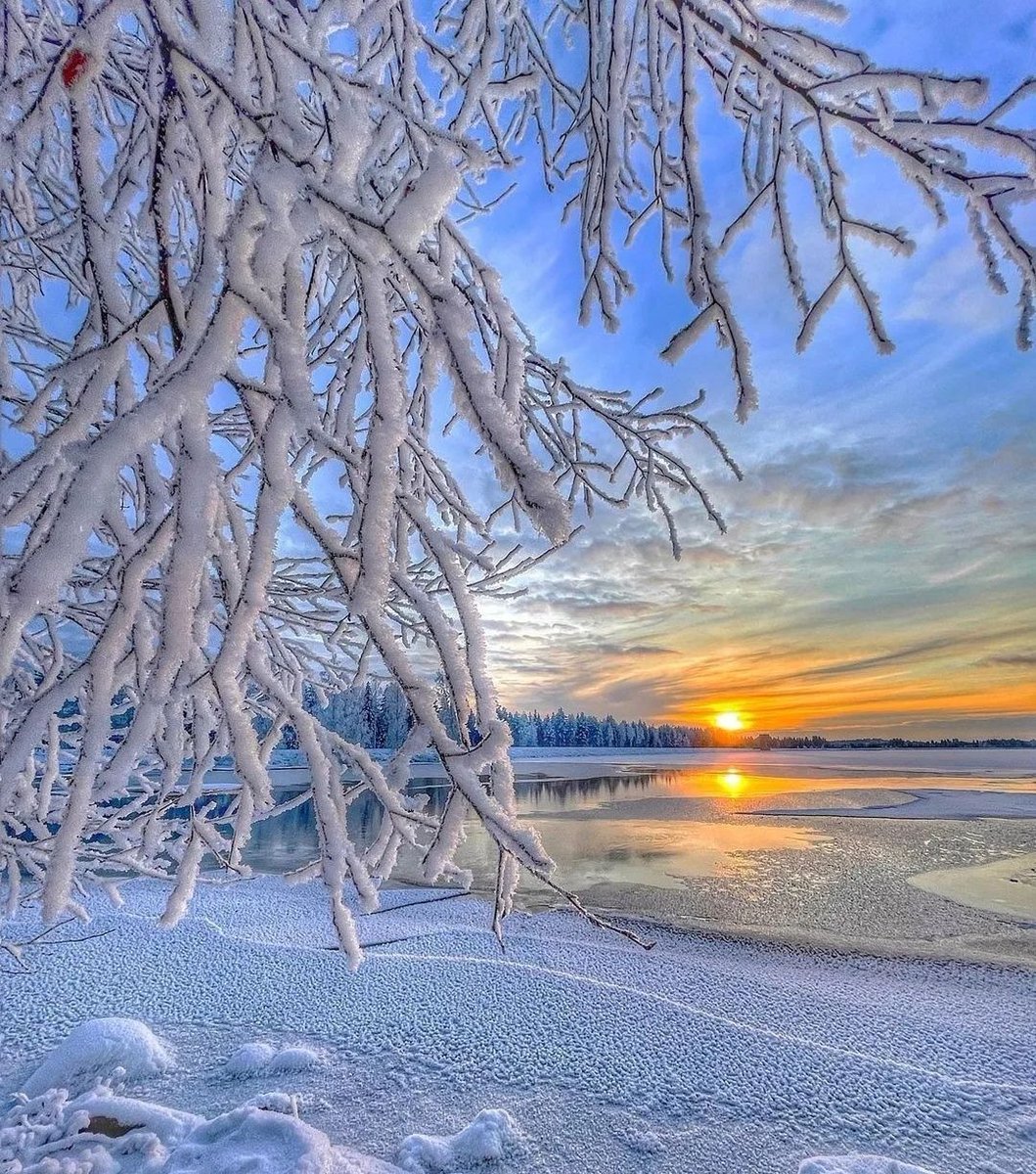 views_Icon's tweet image. Finland