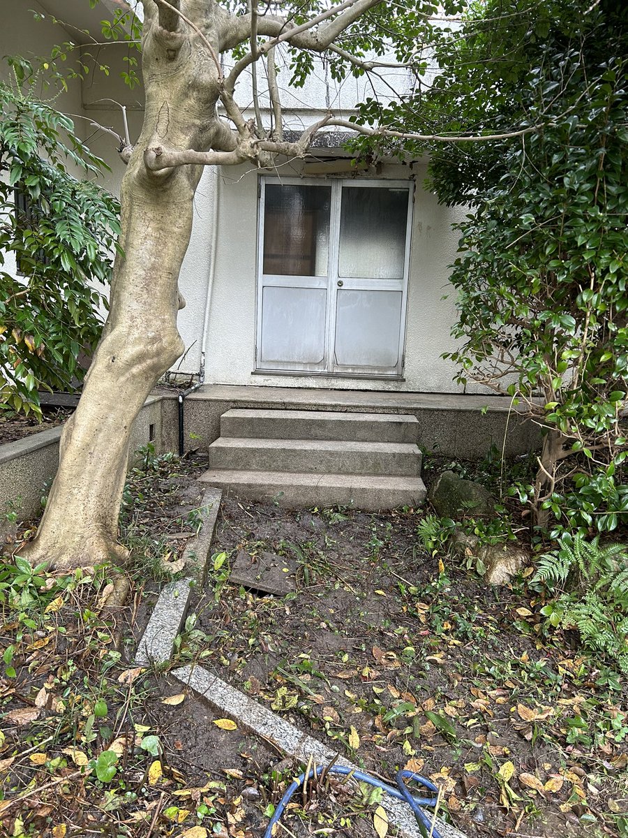 Sweet_Lab24's tweet image. スッキリ
歩道確保しな。