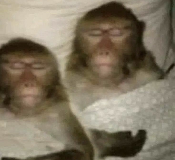 Mi amorcito y yo después de decir que nos íbamos a desvelar y ver una peli juntos: