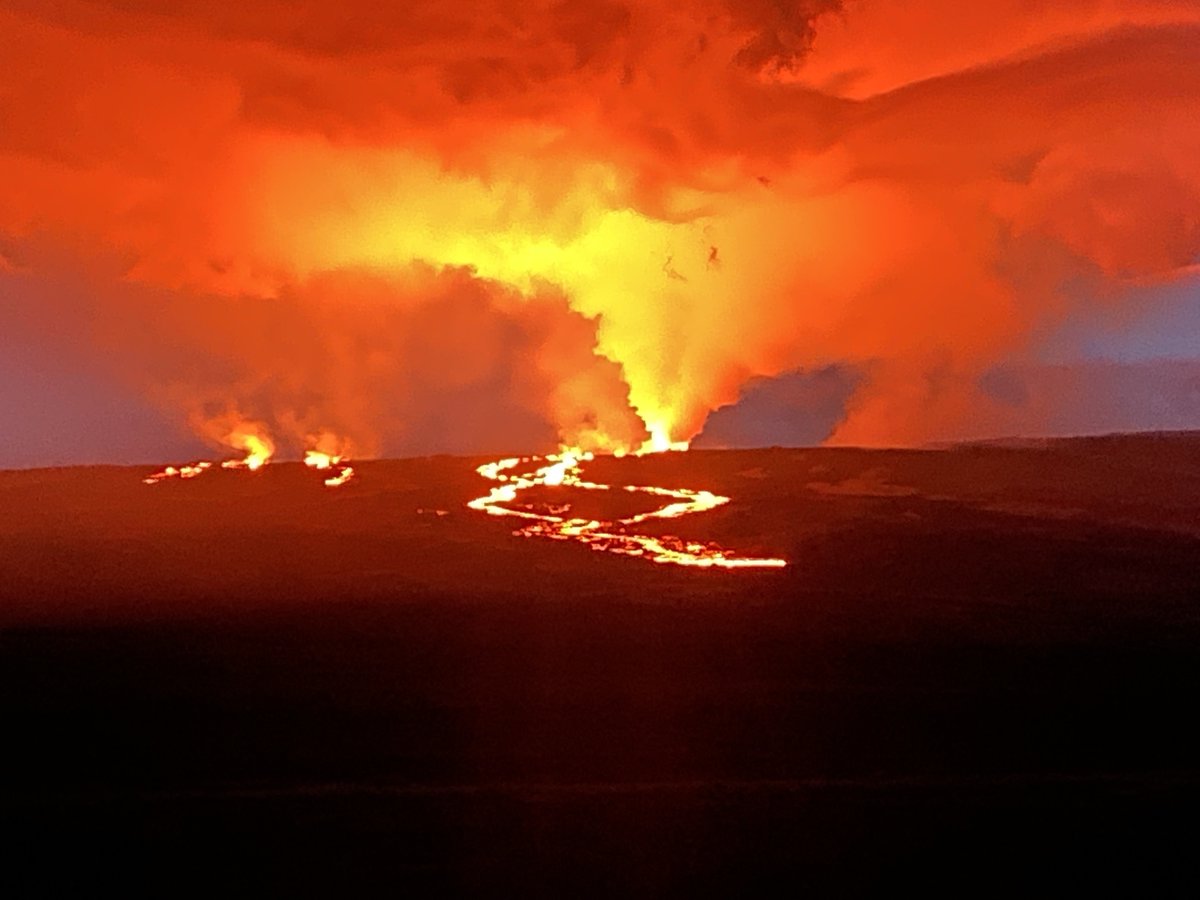 Pac Sym Biocomputing tweet media