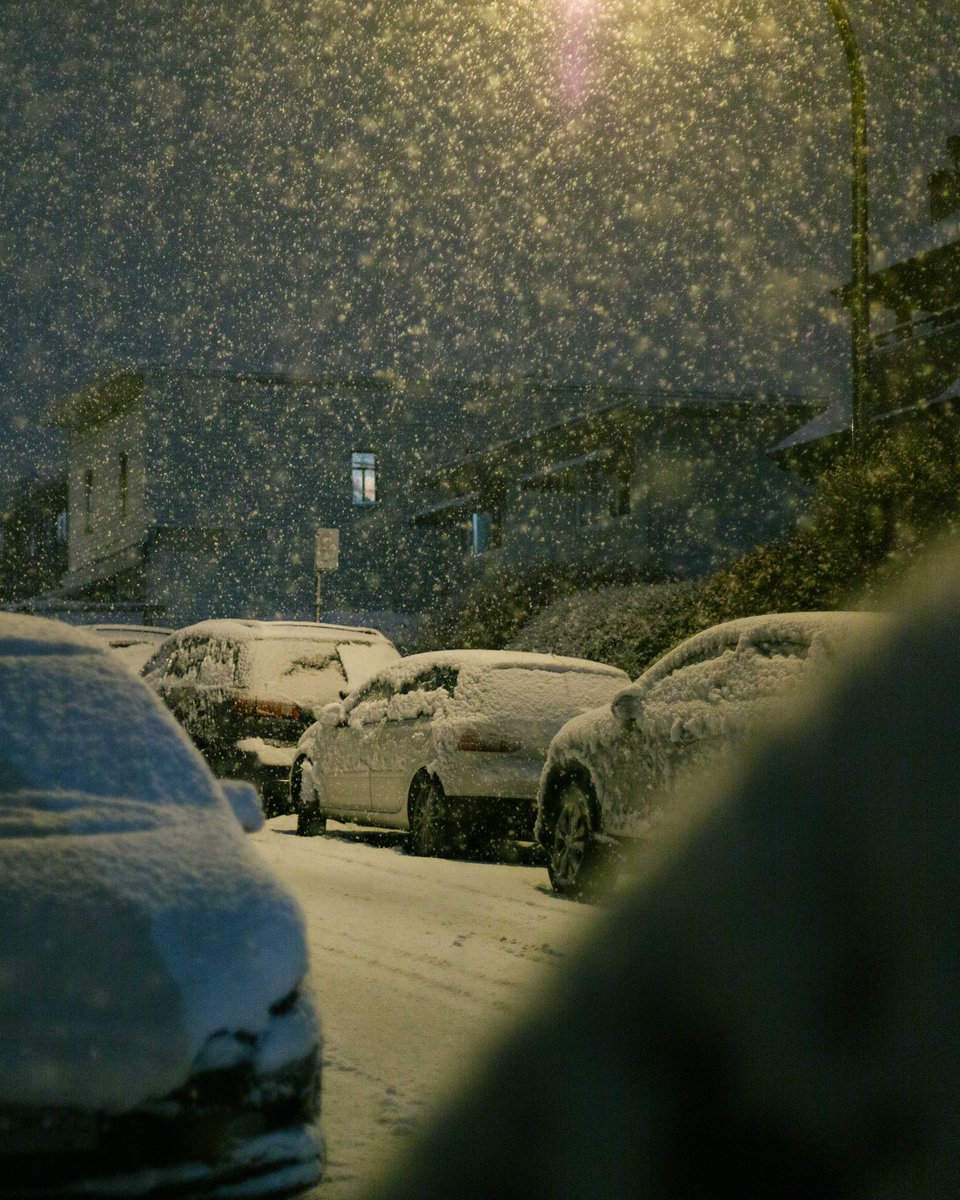 simonhavenhand's tweet photo. Snow arrived today in Metro Vancouver  #BCStorm #BCSnow https://t.co/U1HRAXY1EF
