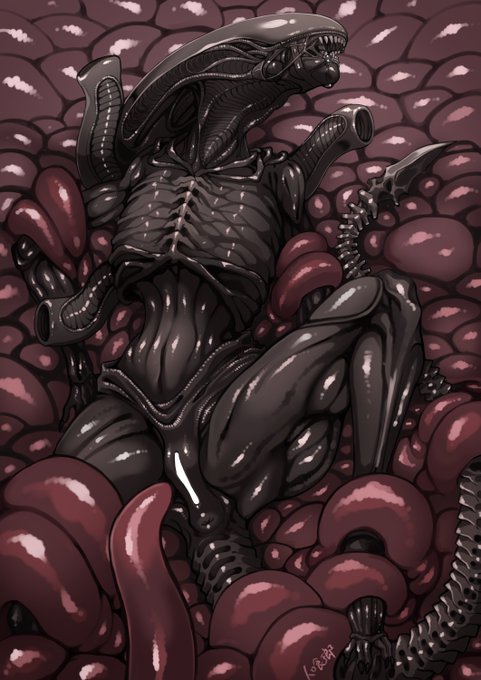 Skbにてご依頼いただきました!
「ゼノモーフ触手姦」になります。
なかなか新しい試みでしたが個人的に結構楽しかったですわぁ(*'ワ`)
Skeb = https://t.co/YLmw7KnLfQ
FANBOX = https://t.co/p10sStHRUI 