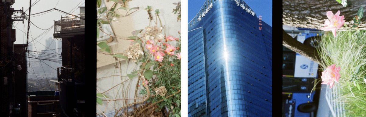flotsambooks's tweet photo. 【お知らせ】
明日12/1から12/6まで鈴木親さん、Lee Gunoさん、Sol Jiさんの３人展「Seoul Flowers」を弊店で開催します。
期間短いですが是非遊びに来てください！10部だけ制作したzineも販売いたします！
168-0063 東京都杉並区和泉1-10-7 https://t.co/e6JyS3AGBM