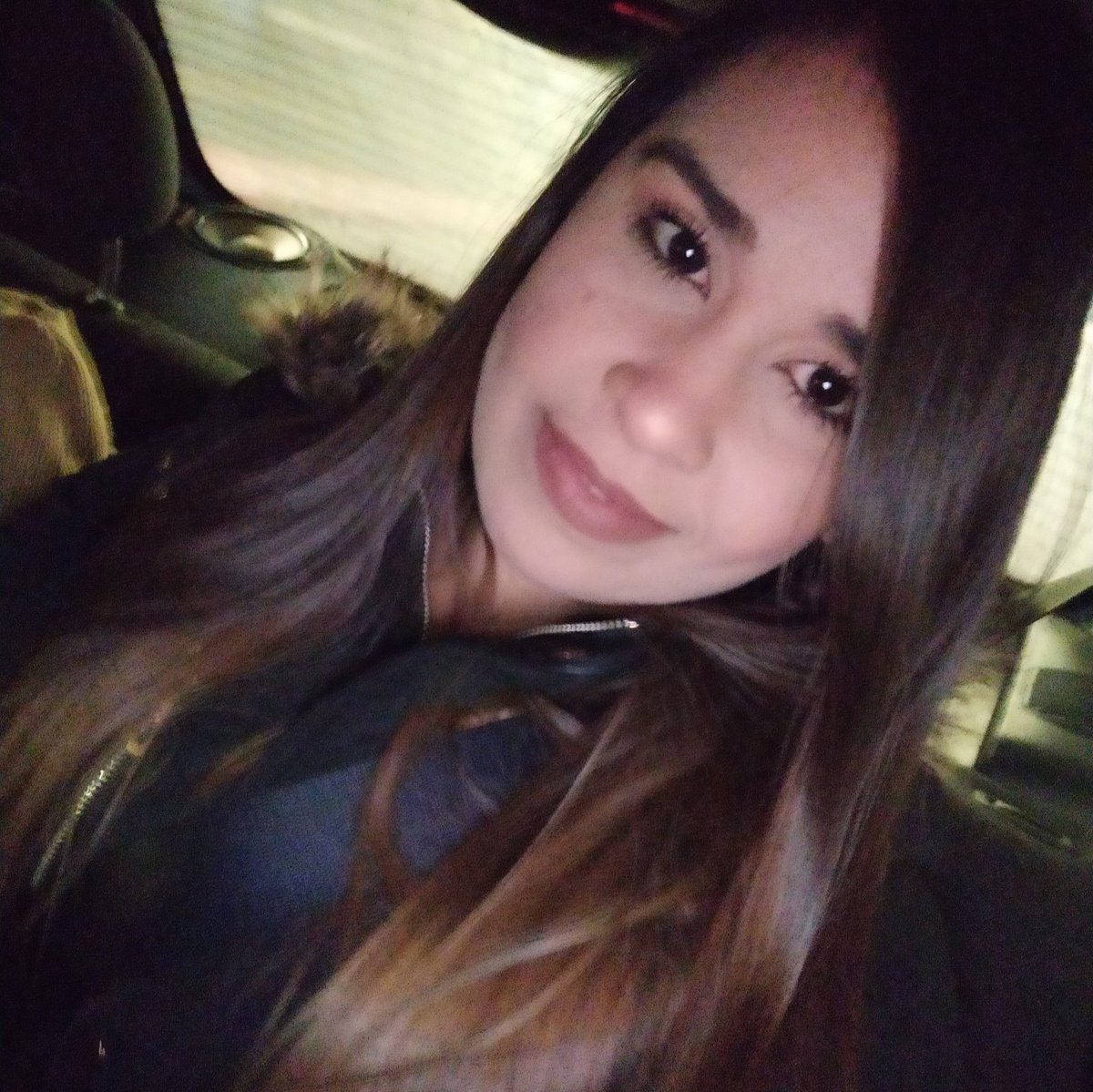 NFTgorilla's tweet photo. #NuevaFotoDePerfil https://t.co/XDu6t2Yd9L
