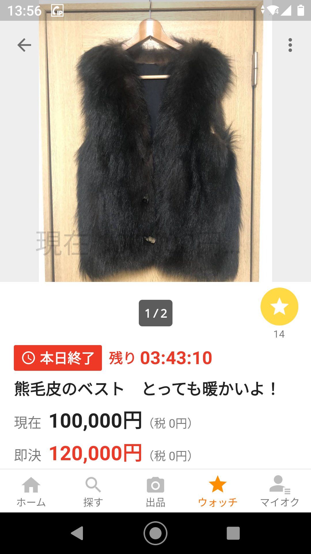 ビンテージ リアルファー 熊 マタギ ベスト 毛皮 熊革 アイヌ 民族衣装 2025年最新】マタギ 毛皮の人気アイテム - メルカリ