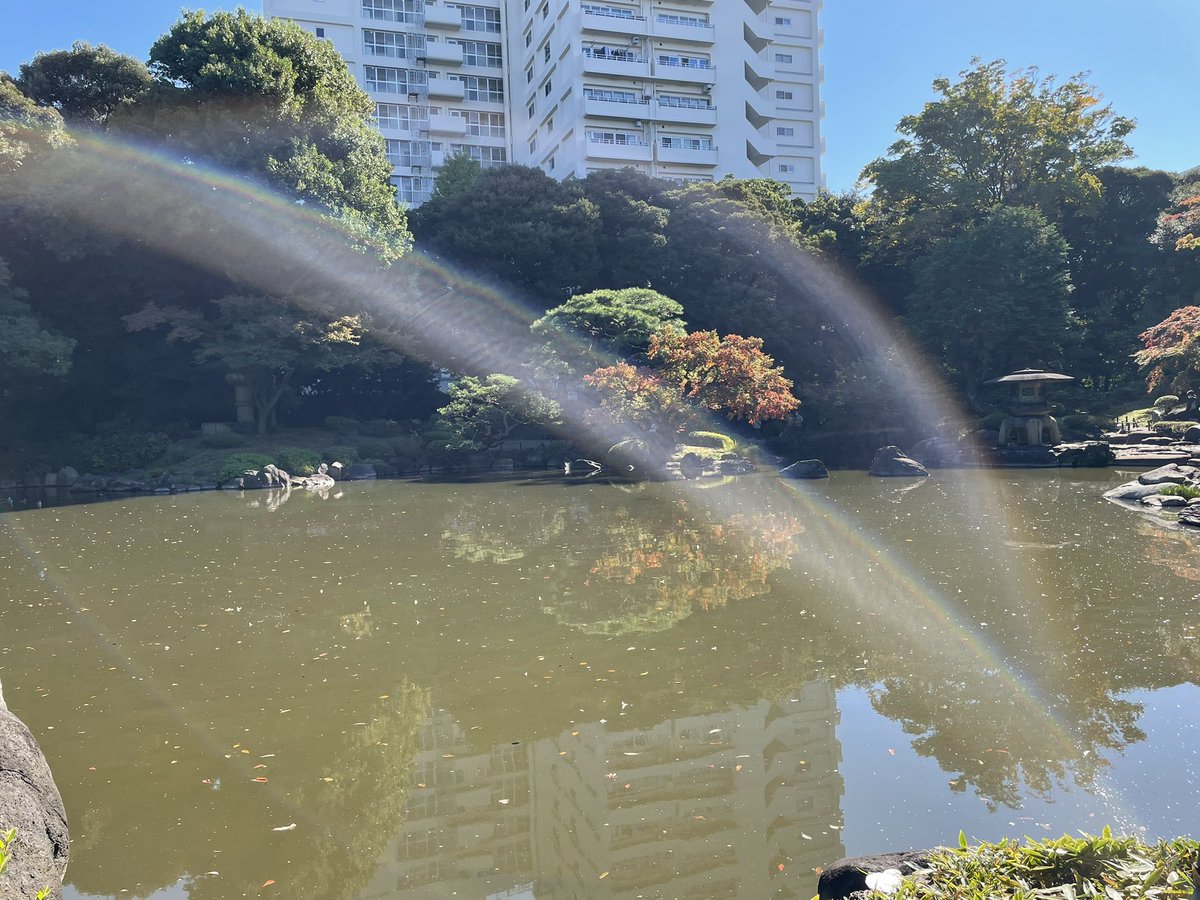 TokyoMoca's tweet photo. 旧古河庭園アナザーカット📸💕

庭園から眺める素敵な洋館🏰に、日本庭園ではダブルレインボー🌈も出現⁈

皆さまも旧古河庭園で癒しの休日を過ごしてみてはいかがでしょうか？👭
#旧古河庭園 #駒込 #garden #rose 

動画はコチラ💖
https://t.co/tLKh8dHAEK https://t.co/n09nOHTeY0