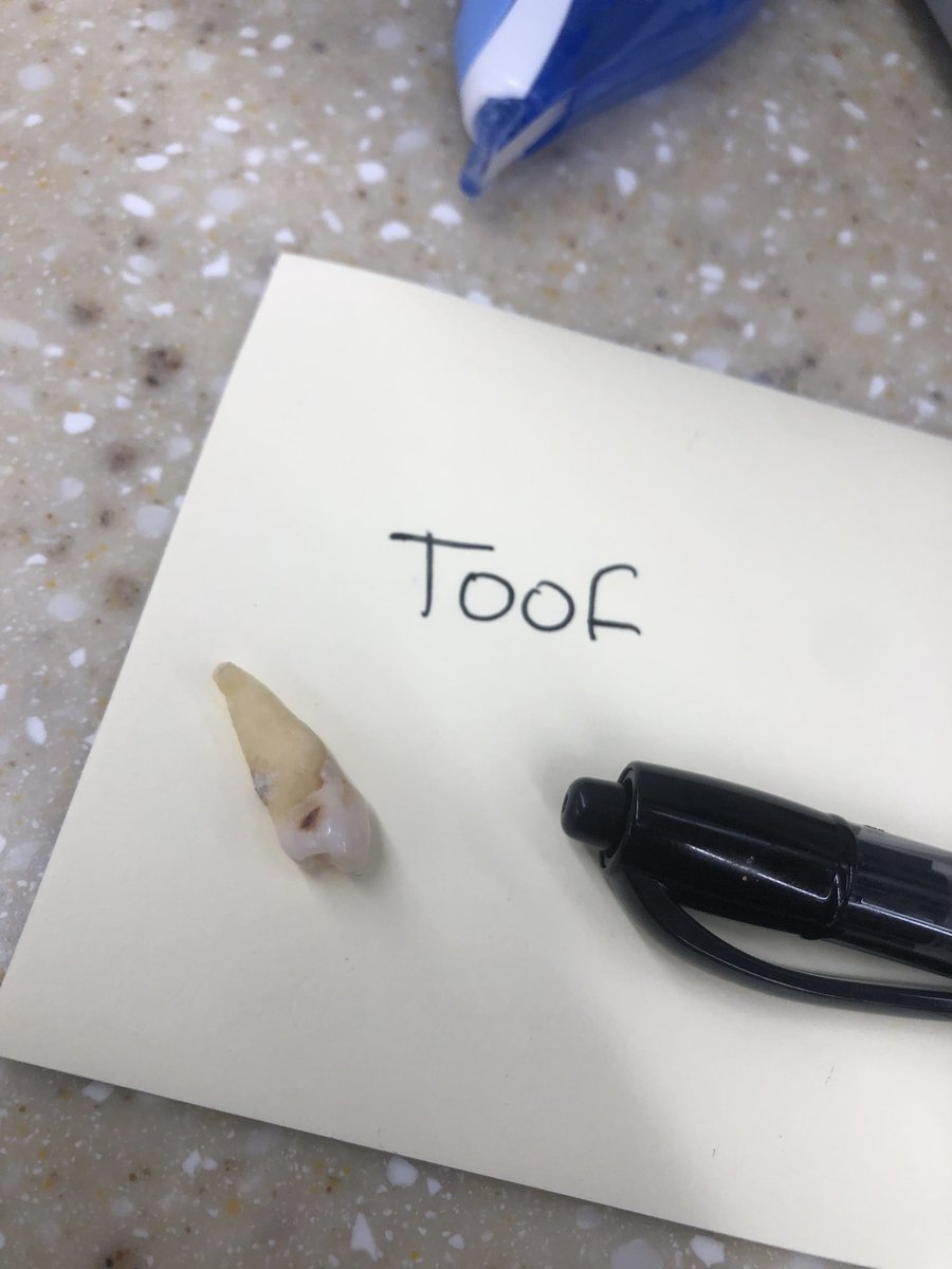 YEEEEGZ ∞ tweet media