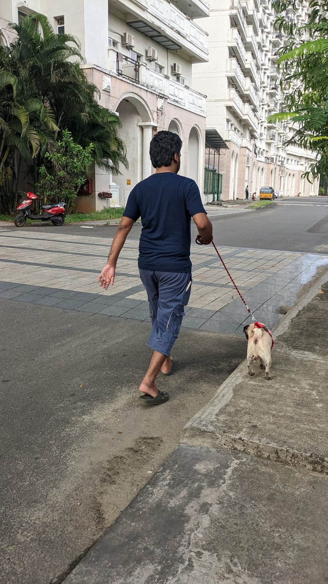 avDeepthi's tweet photo. I always wanted to tweet about something special n I guess I got an apt one.

To the new beginnings 🥂
To the new phase of life ❣️

@abhai_kollara
#aspinthepug https://t.co/l68C2COZYu