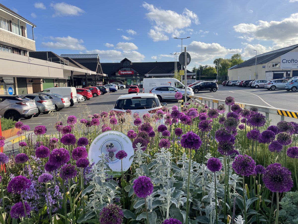 We have collaborated with #Superalu on a number of new stores and landscape upgrades of older shopping centres. Each project has had a strong emphasis on Pollinator Friendly Planting as a supporting action of the #AllIrelandPollinatorPlan #SundriveRoad #Dunboyne