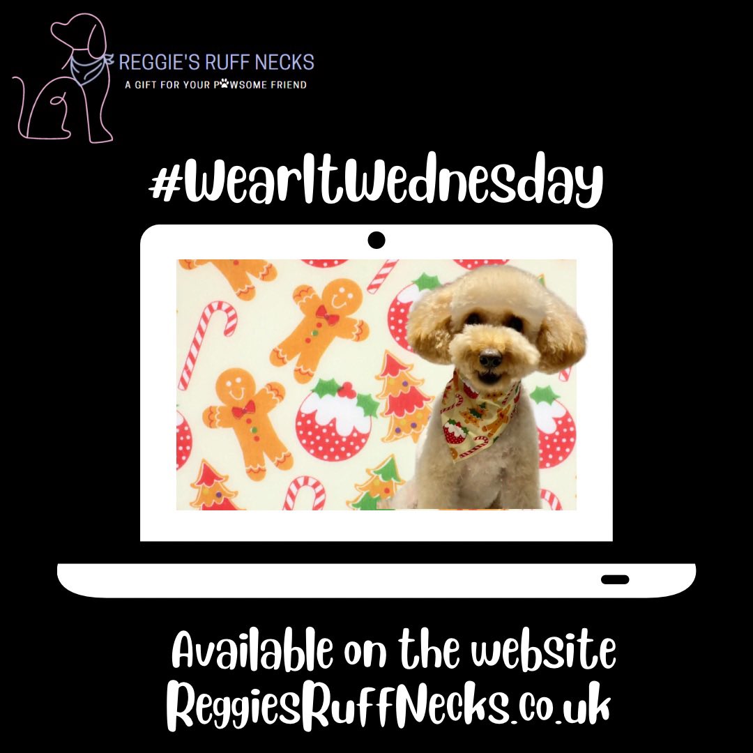 RegRuffNecks's tweet image. Shelby is ready for Christmas, are you?

#PawsomePals #LookForThePaw #DogBandana #BandanaPet #DogFashion #DogOfTheDay #ReggiesRuffNecks #Dog #DogLovers #DogLife #DogUK #Doggo #DogsCorner #DogStyle #DogDaily #DogInfluencer #RuffNeck #WearItWednesday