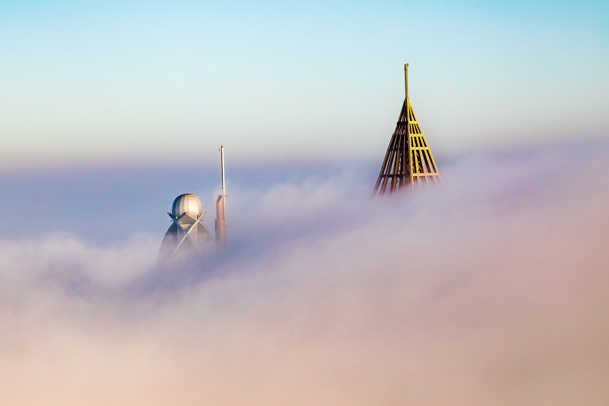 GM everyone 😃

Have a wonderful Wednesday!

The weather in Dubai gets better day by day as we get closer to December. Expecting some fog to wrap up this year with some nee foggy cityscape 🏙️ photos. 

#NFT #NFTCommunity #NFTfamily