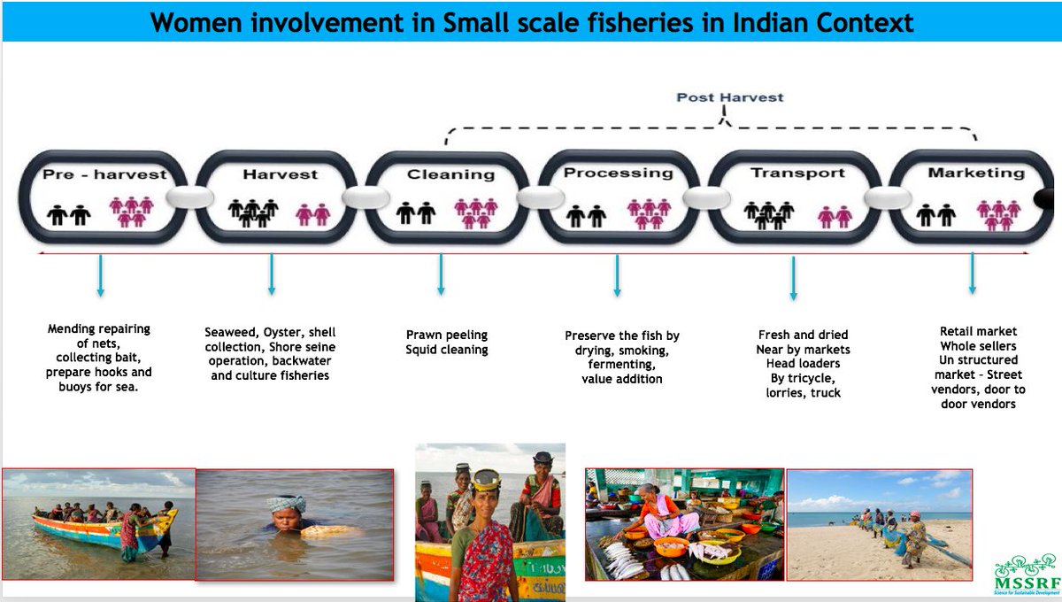 mssrf's tweet photo. #MSSRF's @Velvizhi2017 spoke about finding #solutions to daily #challenges faced by #smallscale #fisherwomen.
She shared voices of #Tamil #women supported by #FishForAll Centre in #TamilNadu @TheNISD event: Voices of the #globalSouth #Aquatic #FoodSystems
#IYAFA2022 @MadhuraFAS https://t.co/W1eRcS9jUy