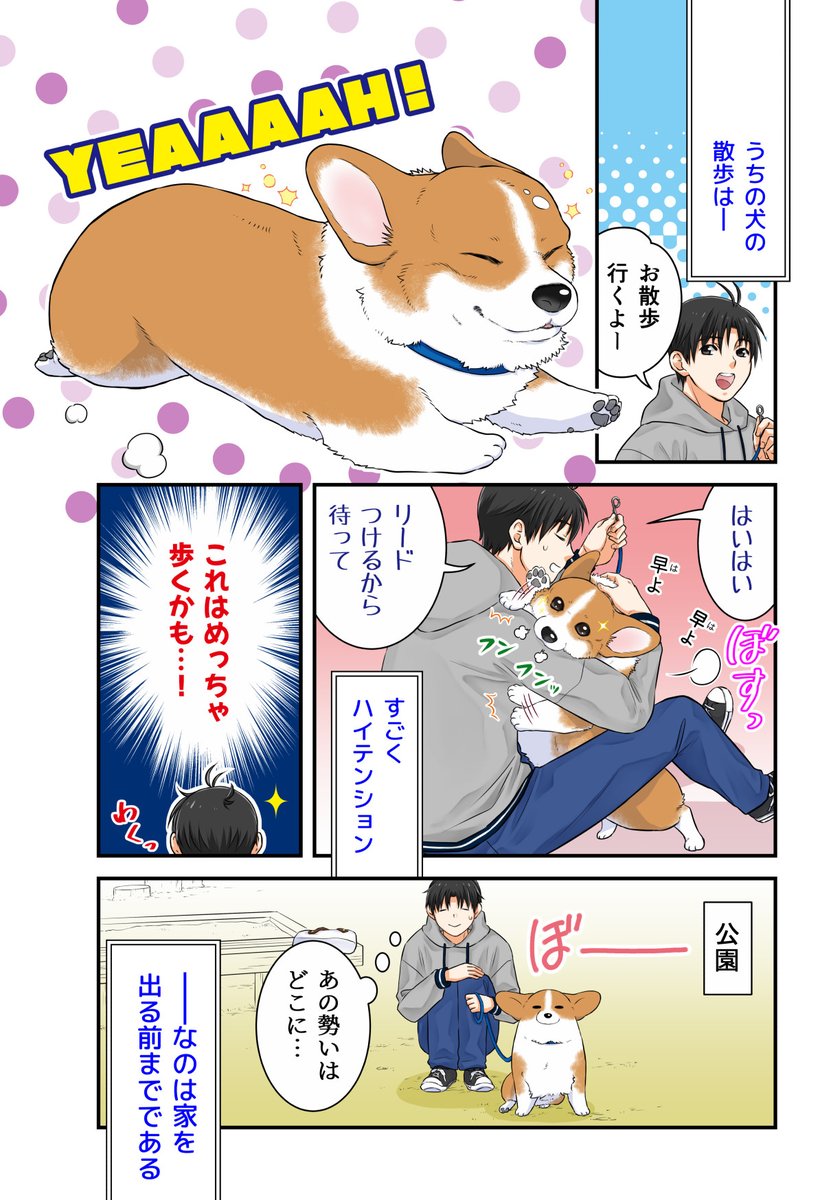 勢いのある犬 