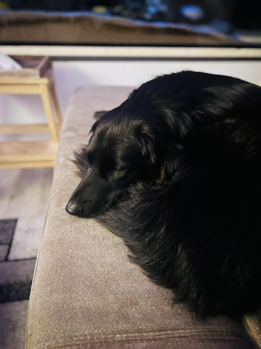 xonetastict's tweet photo. Ich morgens, wenn ich wieder mal die ganze Nacht nicht schlafen konnte. https://t.co/2ozOettl2G