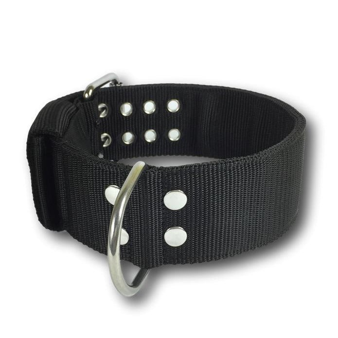 EvilCollar's tweet photo. EvilCollar - Collare Black Six 6cm
Shop now π https://t.co/dEPlnfPk17
#collari #collaripersonalizzati
#customcollars #collari #collaripersonalizzati #dogs #dogslife #staffy #staffylovers #pitbull #evilcollar #dog #americanbully #doggo #dogcollars https://t.co/tBEvv13XqY